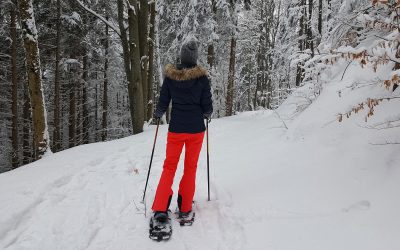 Head Outdoors for Winter Activities in Pella